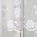 firanka-konf-aralia-005111-000-001-160300-1